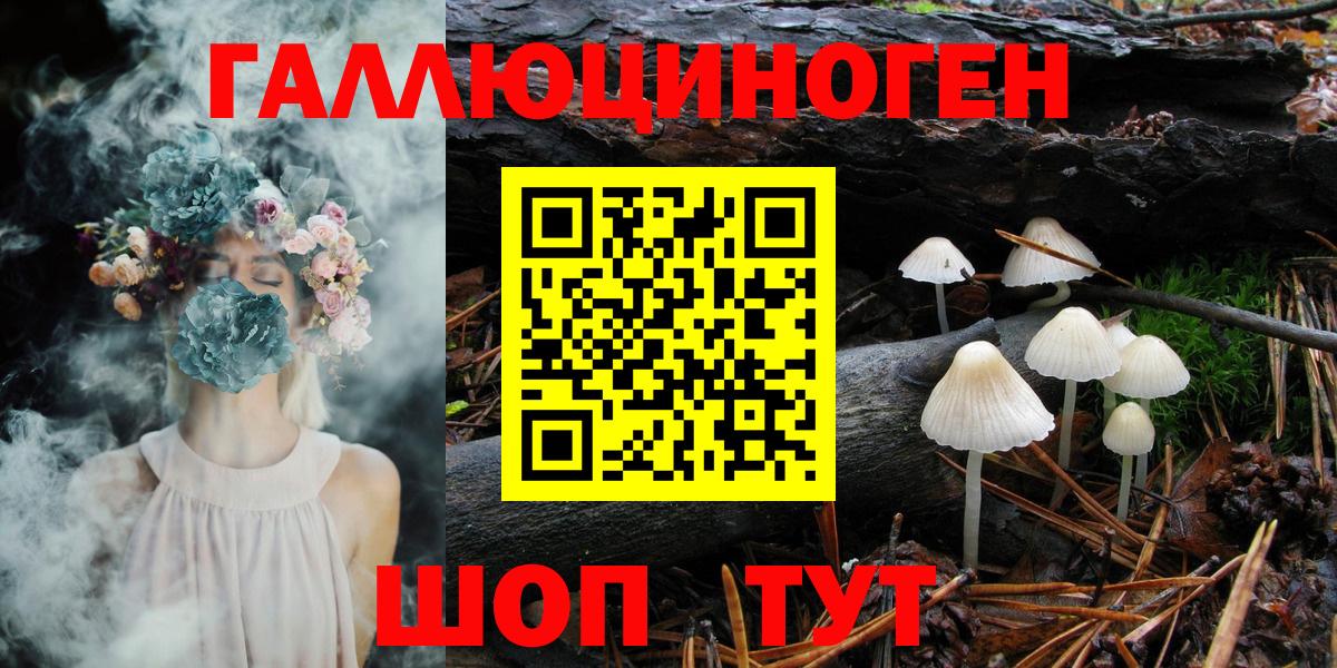 Галлюциногенные грибы MAGIC MUSHROOMS Артём