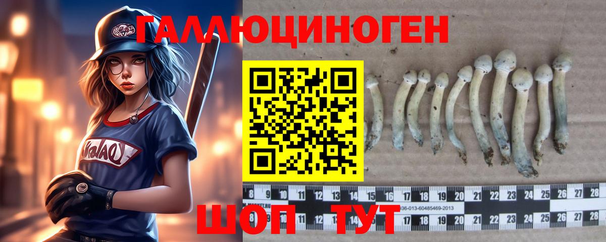 Галлюциногенные грибы мухоморы  Вход с VPN  Артём 